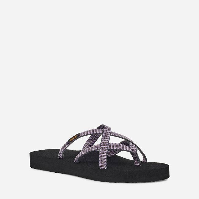 Teva sales olowahu 39